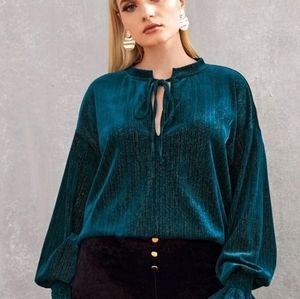 SOLD PLUS size velvet glitter top